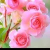 fatma.huseyinova8