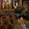 aydi.mouna10