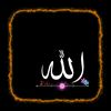 user8822374558150