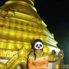 kaung.ma.lay0664