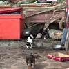 tuantran17_