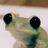 grzybex16
