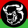 belzybr