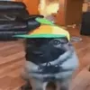 txkkyz