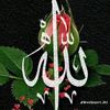 melek.ali241