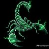 le.roi.scorpion03