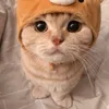 tchpeatwo4l2