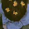 rroodri