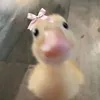 vividograu2.0
