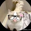 haleema.sadia015