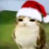 itzalex15
