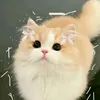 help_me_13