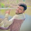 alibhi.804