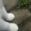 h_9ningp2