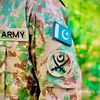 arain.zada575