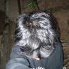 rulzz_softspoken3
