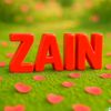 zain.malik7245
