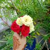user9570491818216