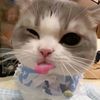 zhafira.azzahra72