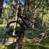 mtb_vibes11