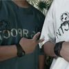 lion.700