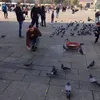 bahzad.jalal24