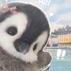 vanawww1