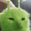 itsmetqy