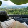 safira_3311