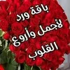 user317634120015