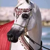الاسمر