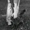 m.a._2011