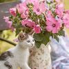 maheen22221