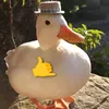 srcarambolas_2.0