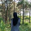 siff0105