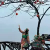 Pham Linh