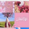 rabia.qurashi1