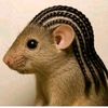 nelisha.baby.1