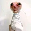 quinchazo2