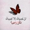 user4306541814617