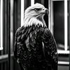xileemircan555
