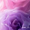 user46900014117575