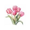 tulips_492