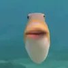 fishy...edits