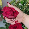 user3401205155653