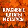 красивые цитаты,статусы,стихи.