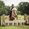 equestrian_beau