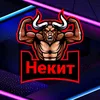 nekit_141231