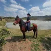 jorgeagromelo