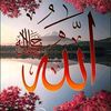 user4888478078255